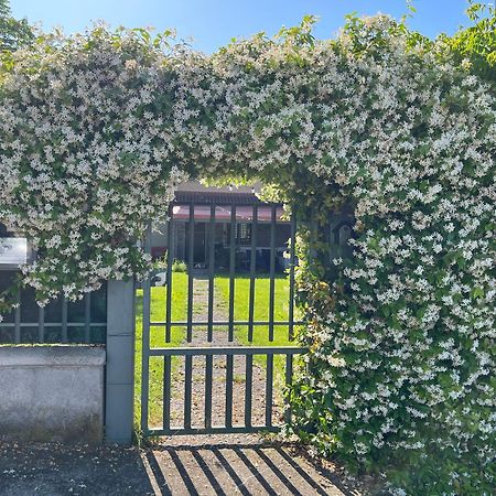 Garda Art&Garden Villa Volta Mantovana Bagian luar foto