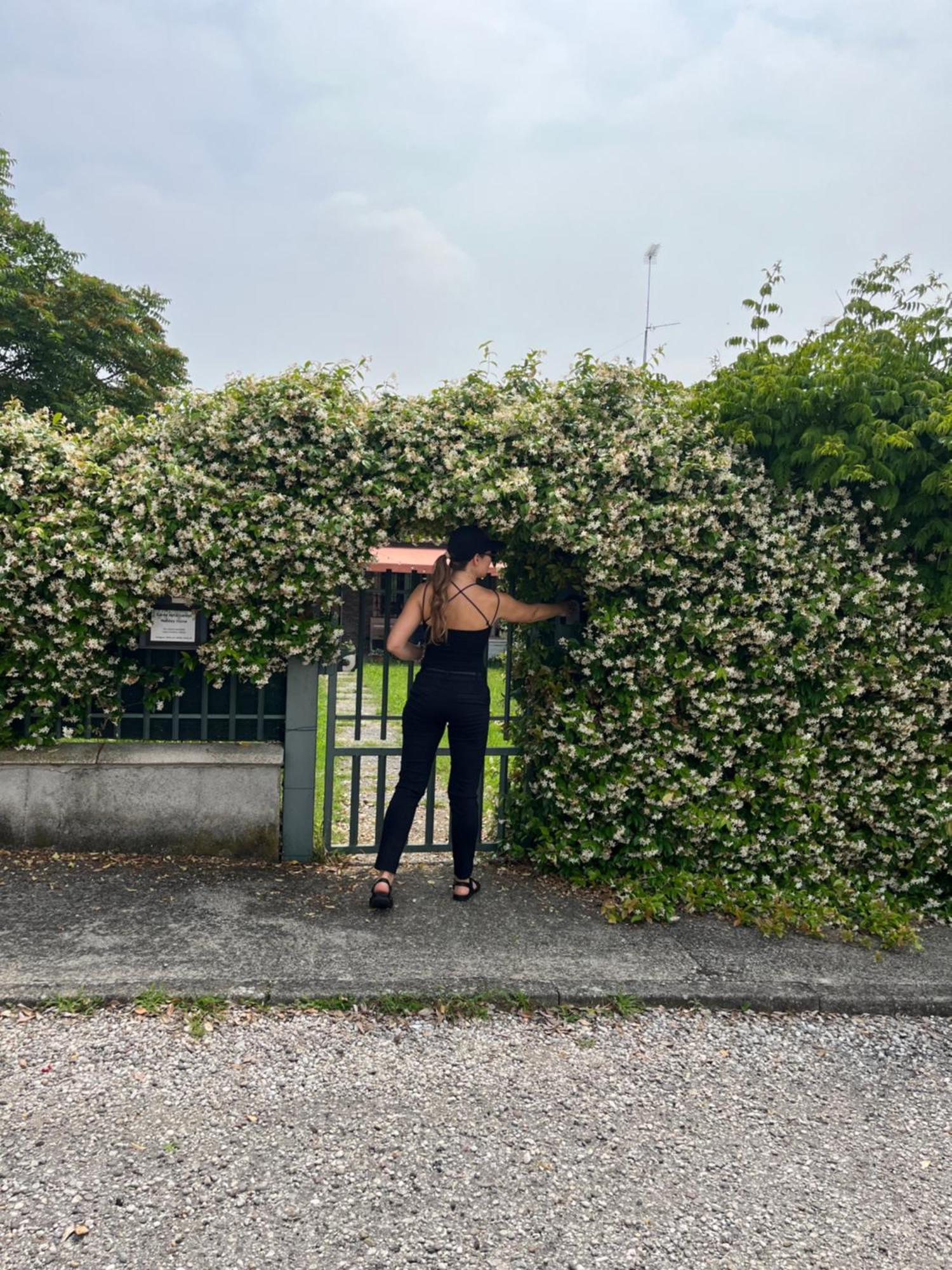 Garda Art&Garden Villa Volta Mantovana Bagian luar foto